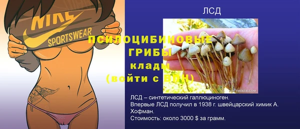 гидра Вяземский