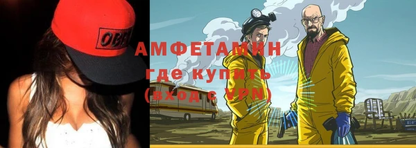 гидра Вяземский