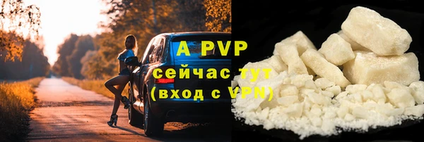 гидра Вяземский