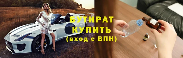 гидра Вяземский