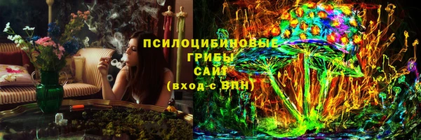 гидра Вяземский