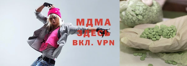 гидра Вяземский