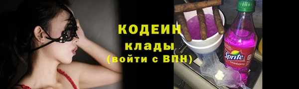гидра Вяземский