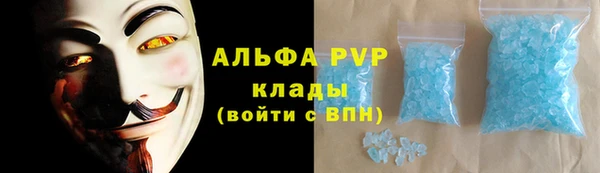 гидра Вяземский