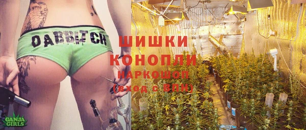 гидра Вяземский