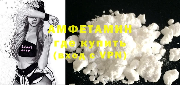 гидра Вяземский