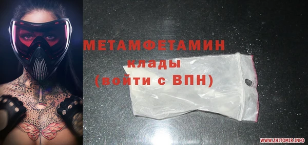 гидра Вяземский
