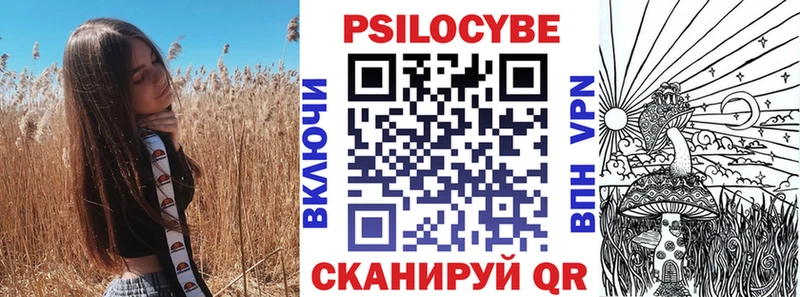 Купить где  Бутурлиновка  Псилоцибиновые грибы Cubensis 